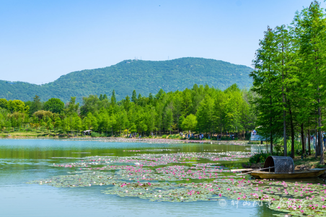 南京钟山风景区发布游览交通指南