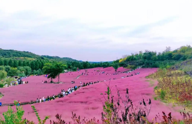 邯郸开行全景观光列车！