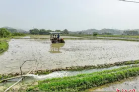 广西博白：农机助力抗旱保春耕图片