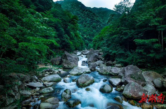 桃香深处沁心凉——炎陵县抢抓“黄桃季”做强“清凉游”