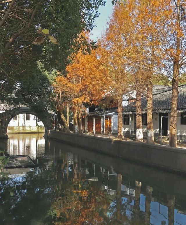 哇，青浦这条红色线路的初冬太美了~