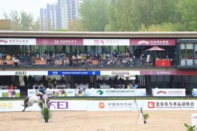 2024国际马术创意之春(北京)绽放天星调良马术 青少年马术训练书籍首发图片