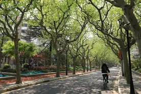 树木也要“贴秋膘”？怎么贴？图片