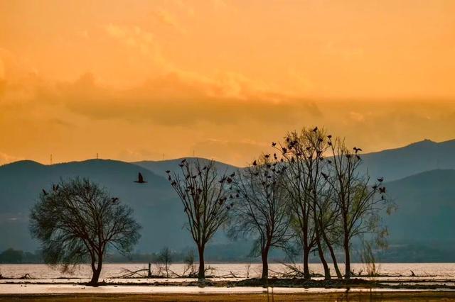 【特别关注】告别秋凉 丽江立冬藏尽天地诗意之美
