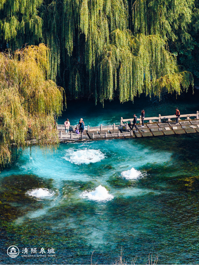 一城山海，一城泉韵！清照泉城邀青岛市民开启“泉式”度假新篇