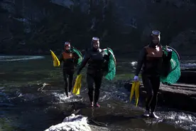 （外代二线）韩国济州岛的海女图片