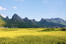 万峰林油菜花，等你来拍！2025抖音短视频大赛火热开启，万元大奖等你来拿！图片