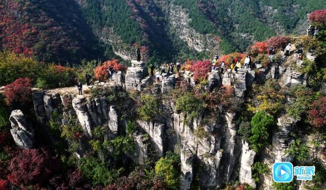 来潍坊青州锯齿崖，共赴一场秋日绮梦