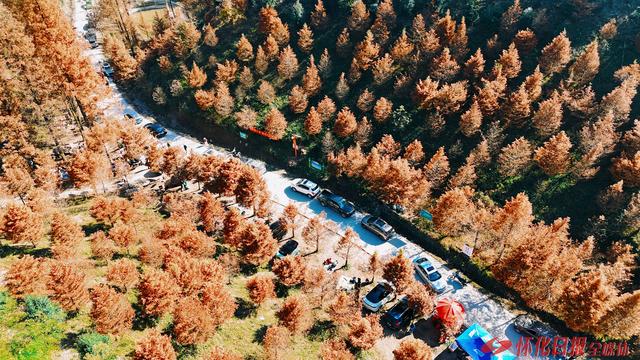 图说 | 冬日秘境