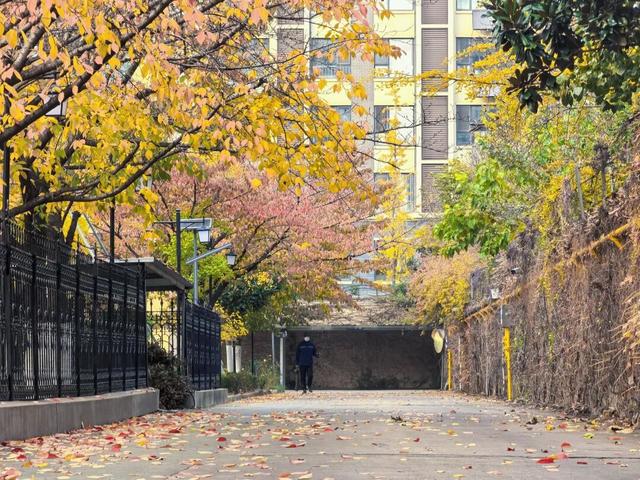 此刻！石臼街道的美景！