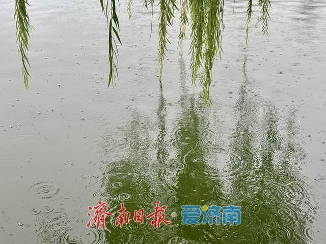 一场秋雨 满园云雾