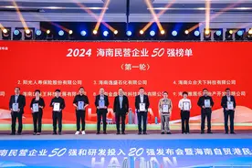2024海南民营企业50强榜单发布 营业收入总额超2600亿元图片