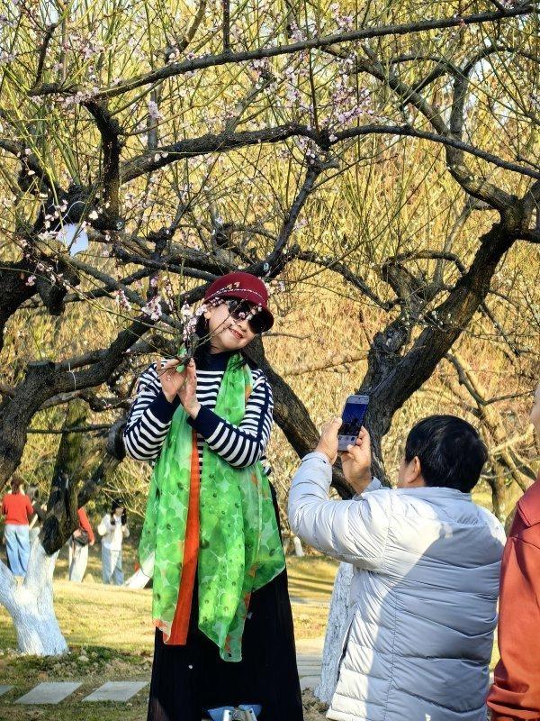 最新公园赏梅地图发布，武汉116座公园可赏梅花