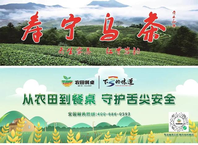 “印象寿宁”梦龙杯短视频大赛网络投票正式启动！