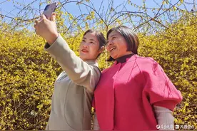 春暖花开，踏青赏春观美景图片