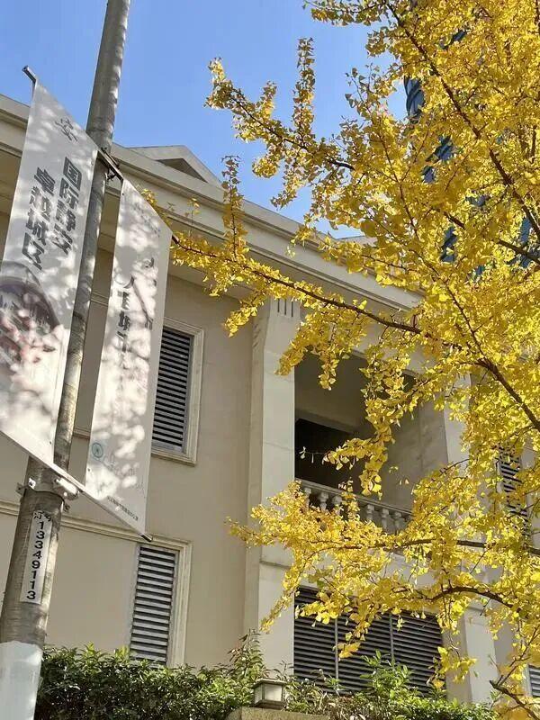 美到犯规！藏在静安深处的秋冬打卡地图上线丨静宝聊天室