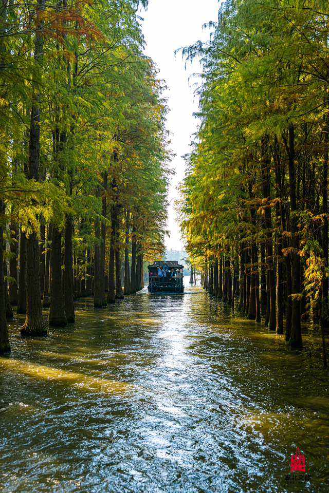 北北亲测！仙桃够味！福利加倍！