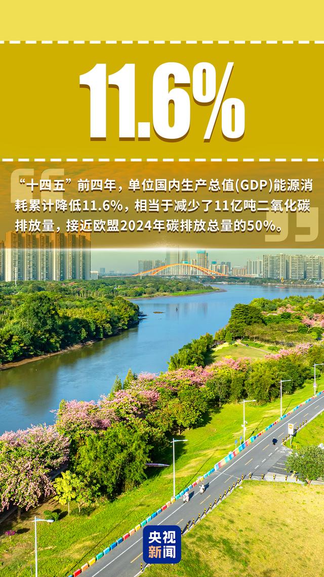 “数”看中国生态答卷