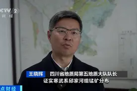重大突破！重要战略矿产资源，新发现！图片