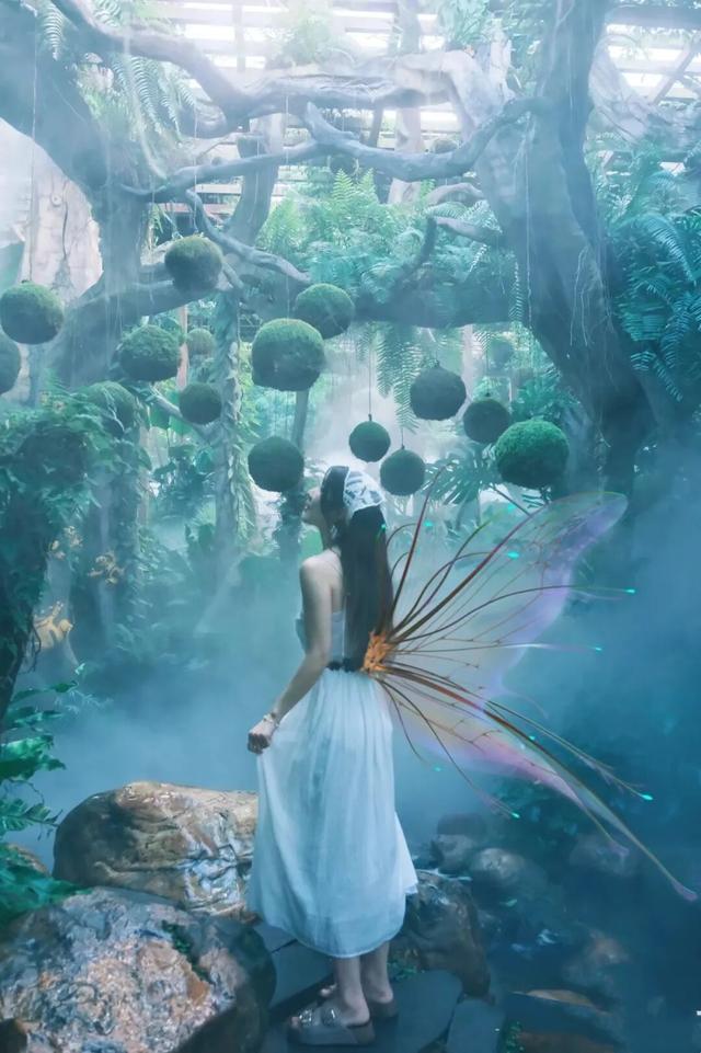 好梦幻！首届“蓝色晶溪•莫奈花园”！国庆假期来珠海这里
