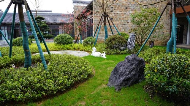 国庆游龙虎山终极指南：门票优惠+潮玩新品+食宿行全攻略，一篇就够！