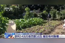 转卖芹菜赚14元被罚10万，“天价罚单”合理吗？图片