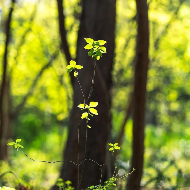 车行云海间，桂林这个地方超适合自驾漫游！