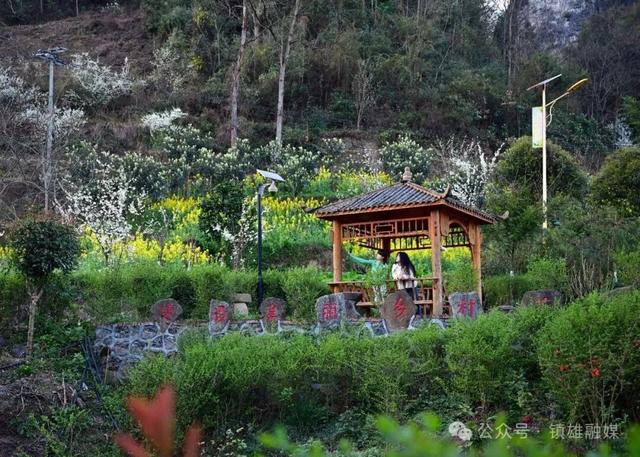 花朗车子坝：开给镇雄人自己的春天