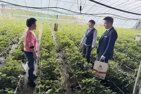 济南农商银行：金融活水润沃野，红马甲绘就振兴图图片