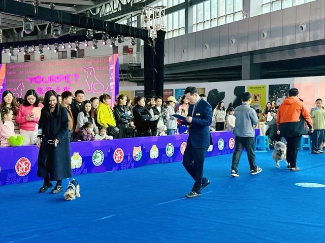 主题打卡、志愿服务、品牌展区…青年发展型城市的宠物博览会亮点多多