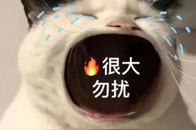 俩小伙改装“电驴”勇闯西藏？梦想却半途被烧成“渣渣”图片
