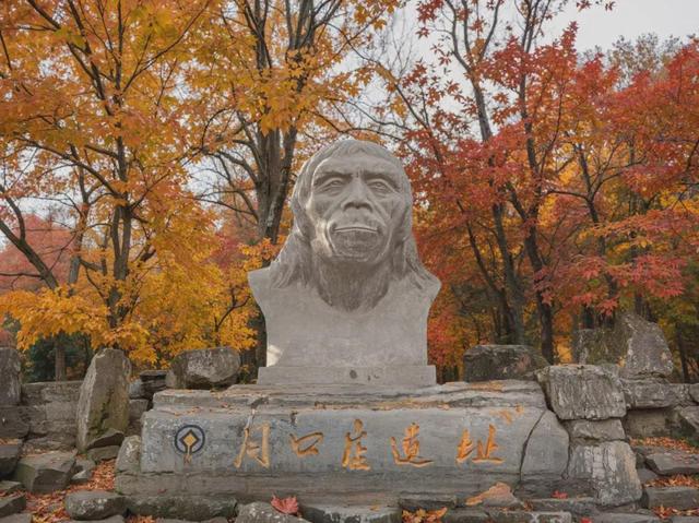 博物风情 | 在周口店遗址，遇见课本之外的历史