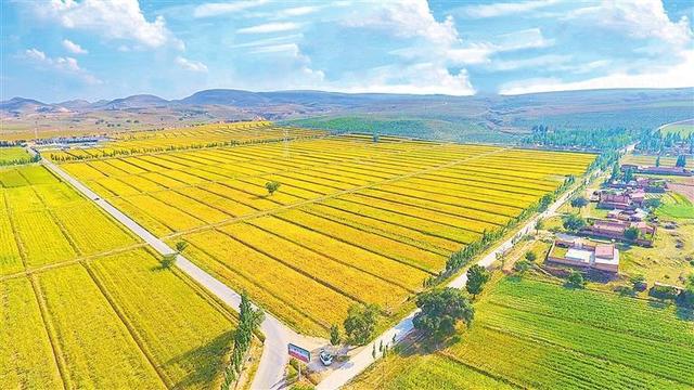 黄河水润董志塬 水利史上铸丰碑——陕甘宁盐环定扬黄甘肃专用工程及配套工程建设纪实