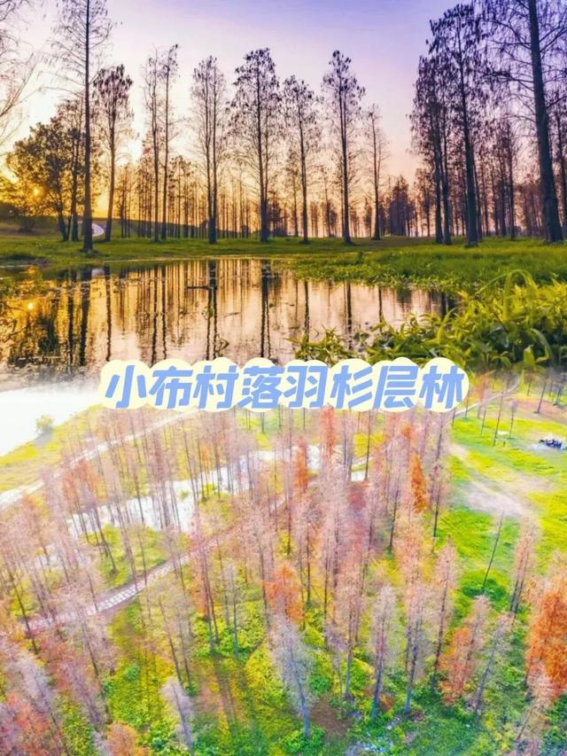宠粉！国庆中秋，乐从水利大楼免费对外开放，附赠周边畅玩攻略→