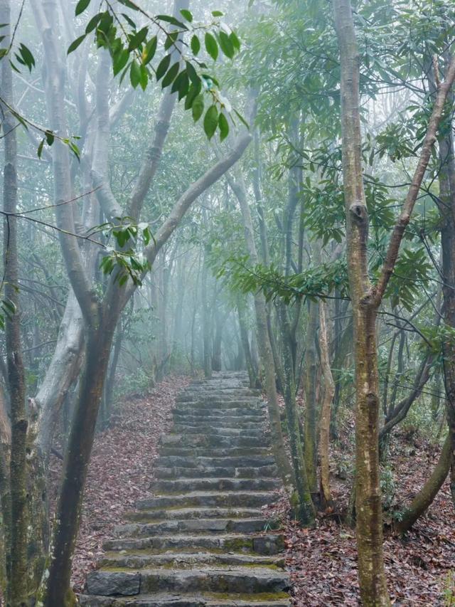 安逸四川 乐游绵阳 ‖ 奖牌不限量！9月起九皇山秋季徒步上线：新玩法+新奖牌，攻略收好赶紧冲！