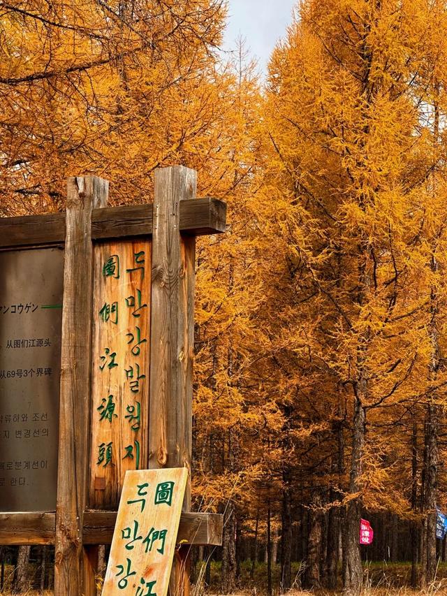 假期闲记（三）