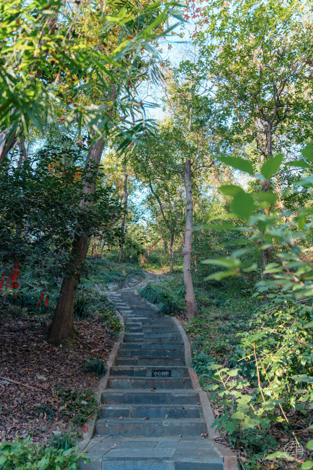 人少景美不绕路，东湖秋日彩蛋上新