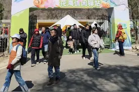 50余场文旅活动老少皆宜，清明小长假昌平超好玩！图片