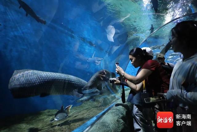 组图｜中外媒体团走进陵水 沉浸式感受海南海洋保育与海岛魅力