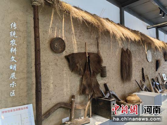 探访黄河稻米文化博物馆：感受黄河农耕文化