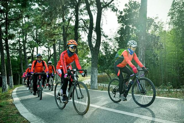 速藏启程！仪征秋季骑行一站式攻略，把秋景与趣味统统骑进眼里~