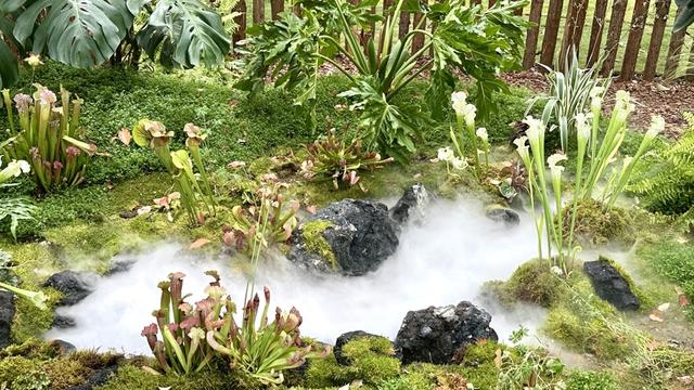 探秘上海花园节：40座梦幻花园临港绽放，一睹静谧自然之美
