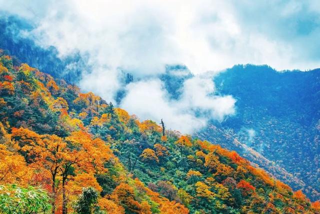 瓦屋山宠粉太狠了！整个秋季免门票！徒步拿秋季专属奖牌！
