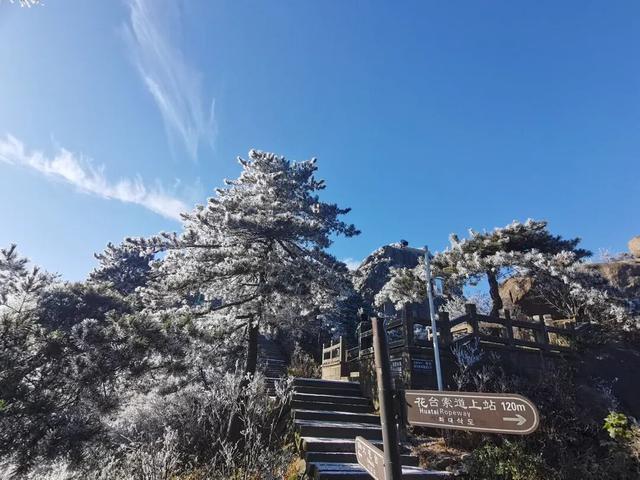 池州这里下雪了！