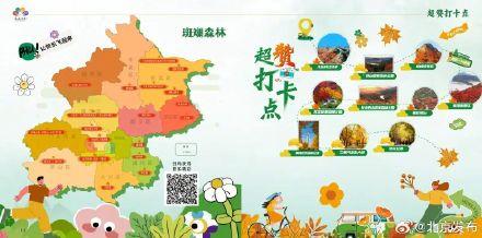 你可以永远相信北京的秋天！最全赏秋攻略→