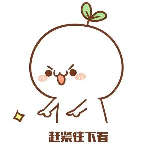 郴州发布丨音乐节+足球赛，交通出行全攻略来了！