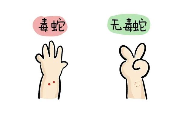 吓人！夫妻旅游回家，一开门发现客厅变“蛇窝”，大小10条爬满地……
