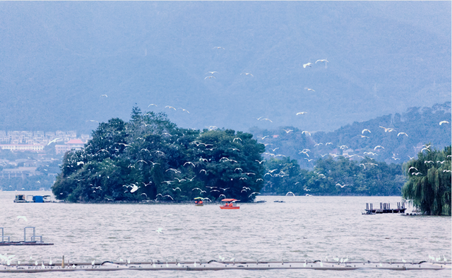 最近，星湖美景亮相广州！你发现了吗？