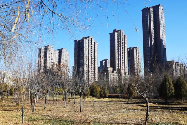 组图 | 凉州冬韵：霜凝湖光 苇摇清柔