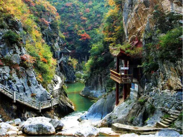 带你解锁甘川陕交界的小众秘境，陇南官方文旅品牌馆正式上线啦！